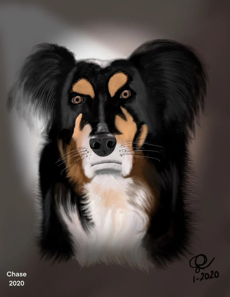 Western Skies Veterinary - In Home Pet Euthanasia|Memorials