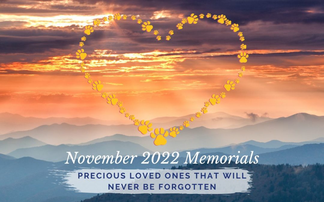 Western Skies Veterinary - In Home Pet Euthanasia | Memorials Archive