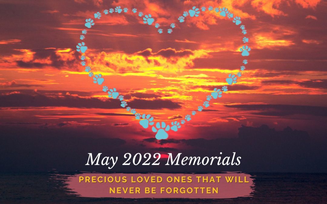 Western Skies Veterinary - In Home Pet Euthanasia | Memorials Archive