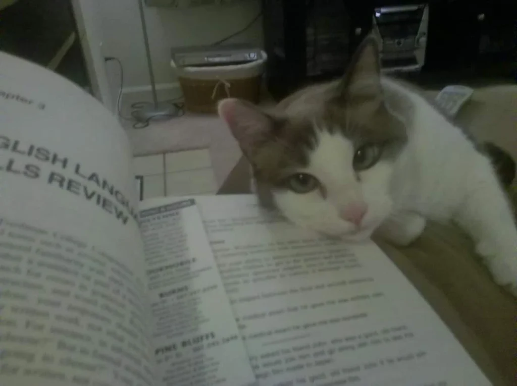 Western Skies Veterinary - In Home Pet Euthanasia|Memorials