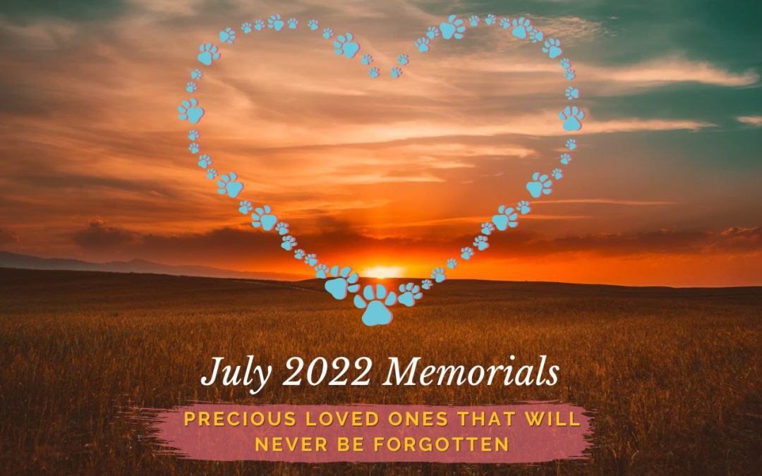 Western Skies Veterinary - In Home Pet Euthanasia | Memorials Archive