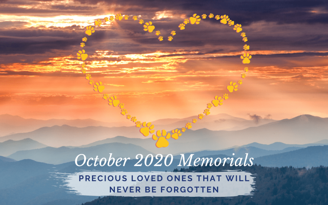 Western Skies Veterinary - In Home Pet Euthanasia | Memorials Archive