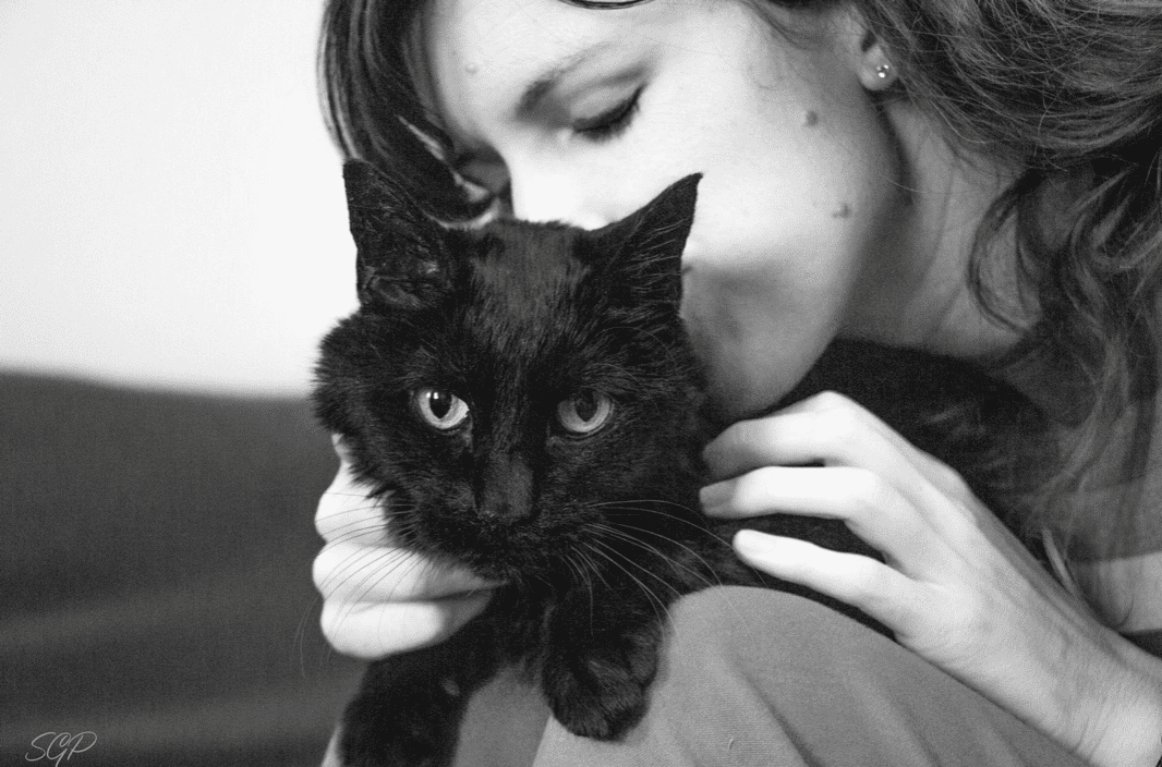 Western Skies Veterinary - In Home Pet Euthanasia | Why you won’t regret an End-of-Life photo session Western Skies Veterinary - In Home Pet Euthanasia | Why you won’t regret an End-of-Life photo session