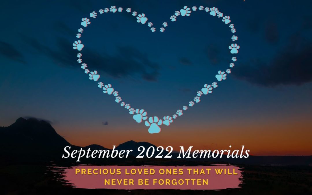 Western Skies Veterinary - In Home Pet Euthanasia | Memorials Archive