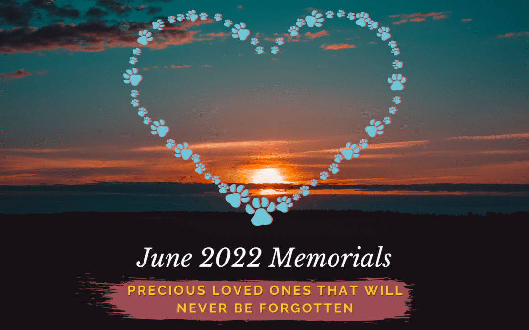 Western Skies Veterinary - In Home Pet Euthanasia | Memorials Archive