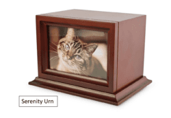 Serenity Urn