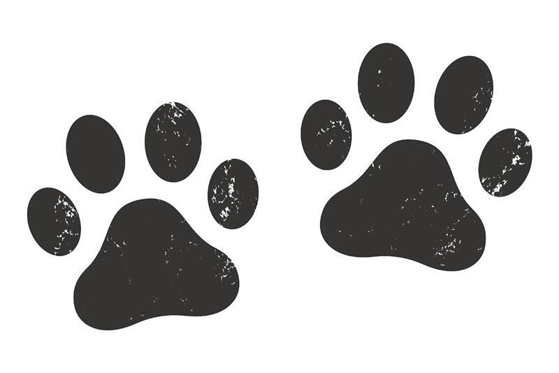 Digital Paw Prints